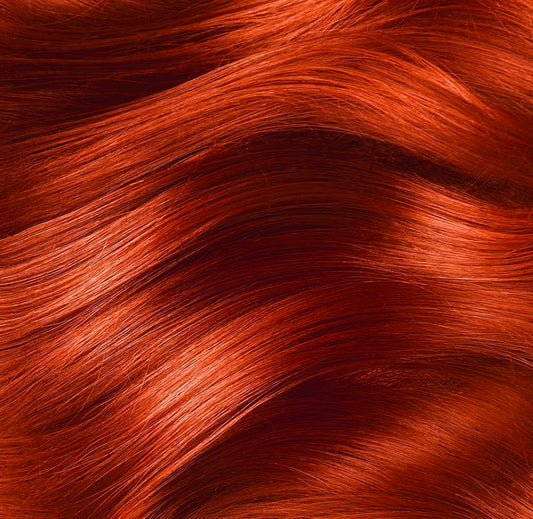 039 Orange Blaze